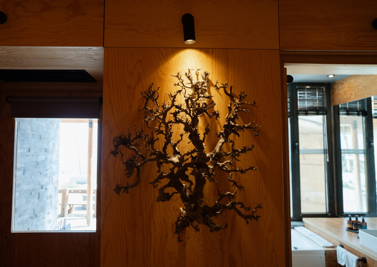 Gallery 62